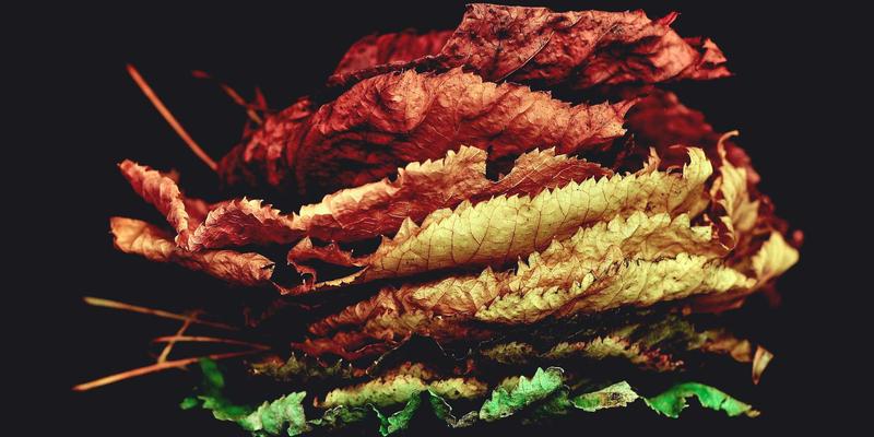 2024年最值得期待的大型开放世界游戏盘点：玩家社区与PLT88论坛热议前瞻