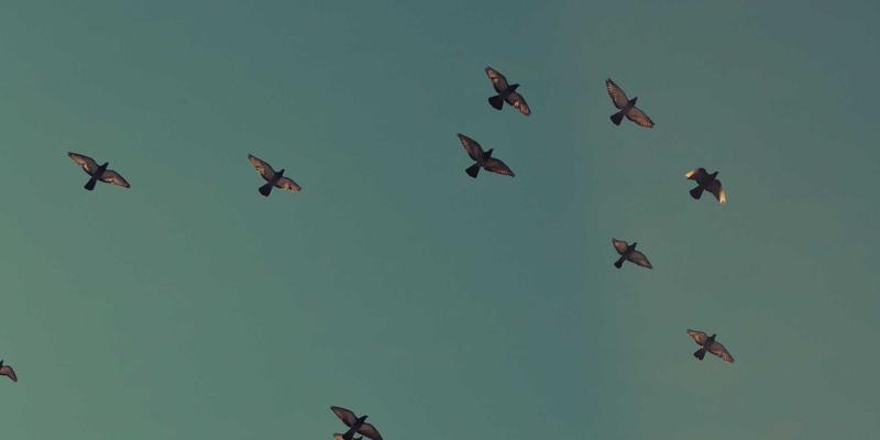 PLT88新游发布与评测全攻略：如何高效获取游戏资讯