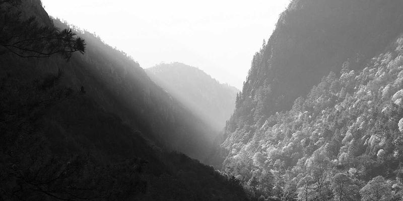 PLT88新游发布前瞻：如何通过玩家社区获取独家游戏技巧