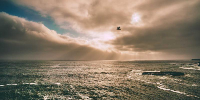 PLT88深度评测：新游发布背后的硬核体验与市场冲击