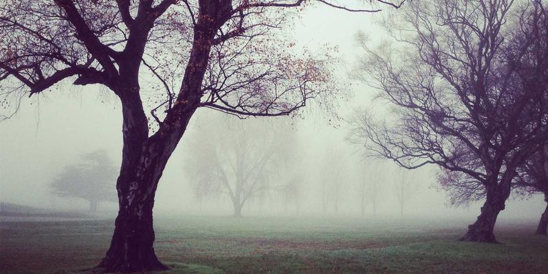 PLT88玩家论坛：一站式游戏资讯枢纽与玩家生态圈