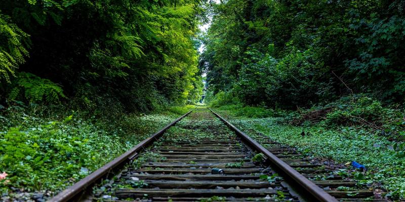 从《暗黑破坏神》到MMO：玩家论坛热议的游戏经济系统设计与PLT88平衡之道