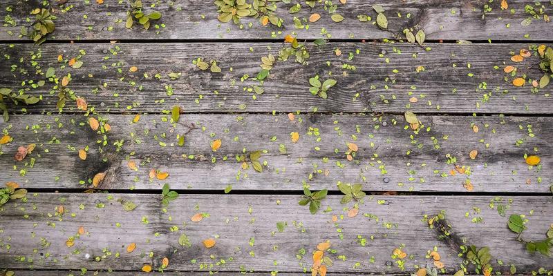 从游戏评测到PLT88：怀旧游戏硬件价格飙升背后的文化密码与收藏攻略