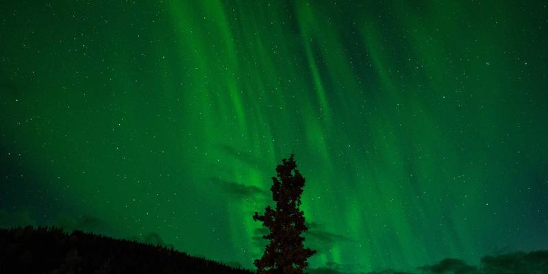 游戏叙事手法演进：从线性剧情到玩家驱动故事的变革与玩家社区影响