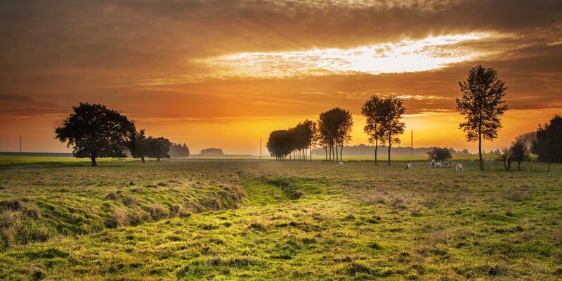 游戏评测 | 深度解析手机游戏付费模式：玩家社区热议的订阅制、Battle Pass与内购抽卡接受度分析