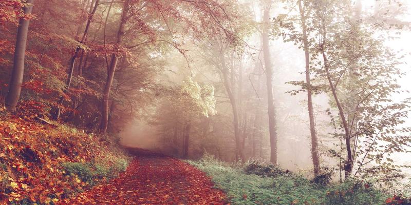 游戏资讯68:攻略、社区与评测——现代玩家的三维罗盘