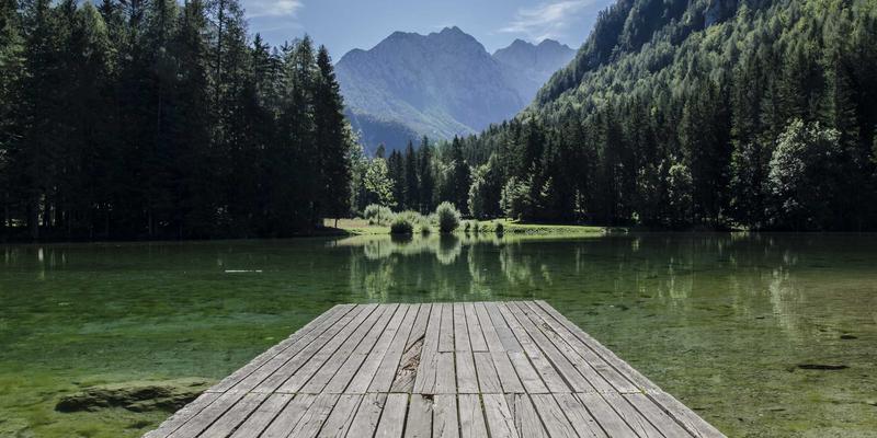 游戏资讯81：PLT88如何重塑玩家社区生态与资讯获取方式