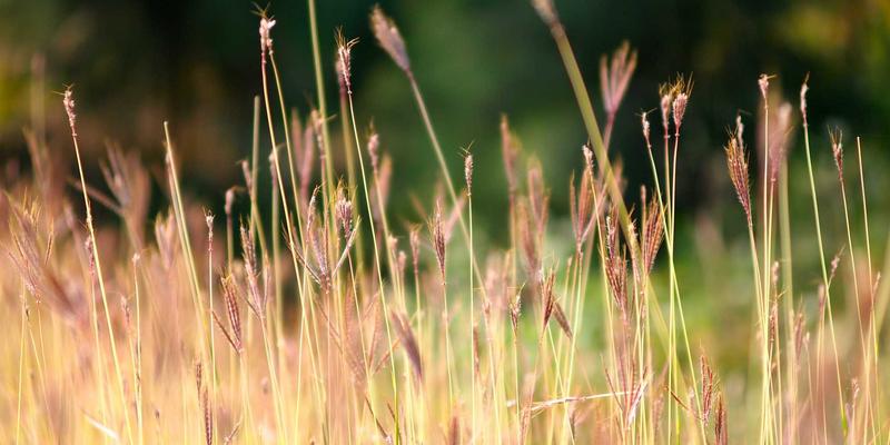 游戏资讯85：玩家论坛热议新游发布，深度攻略成制胜关键