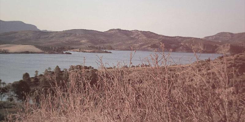 移动游戏市场新蓝海：玩家社区与游戏资讯如何重塑新游发布生态