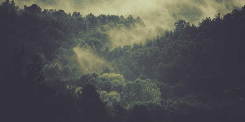 跨媒体叙事如何引爆游戏生态：从攻略到新游发布的玩家社区联动策略